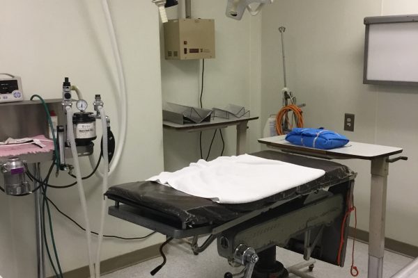 Our surgery room